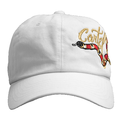 Venom Dad Hat