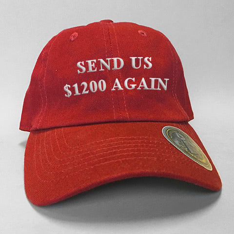 Direct Deposit Dad Hat